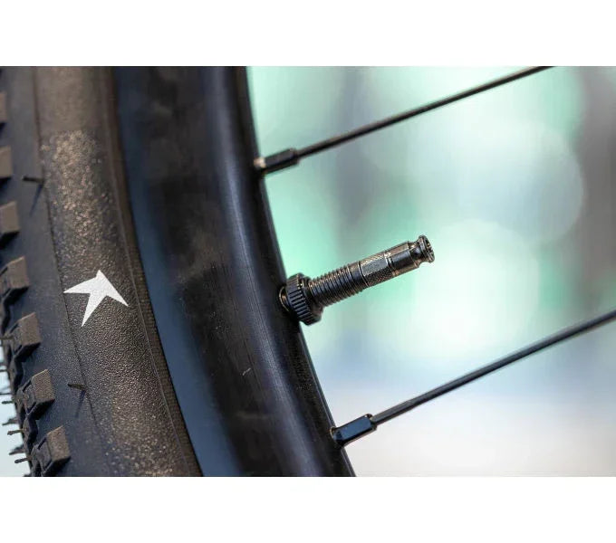 Schwalbe Clik Valve Umrüstkit 2xVENTILE inkl. PUMPENKOPFADAPTER - FahrradReifenExpress.de